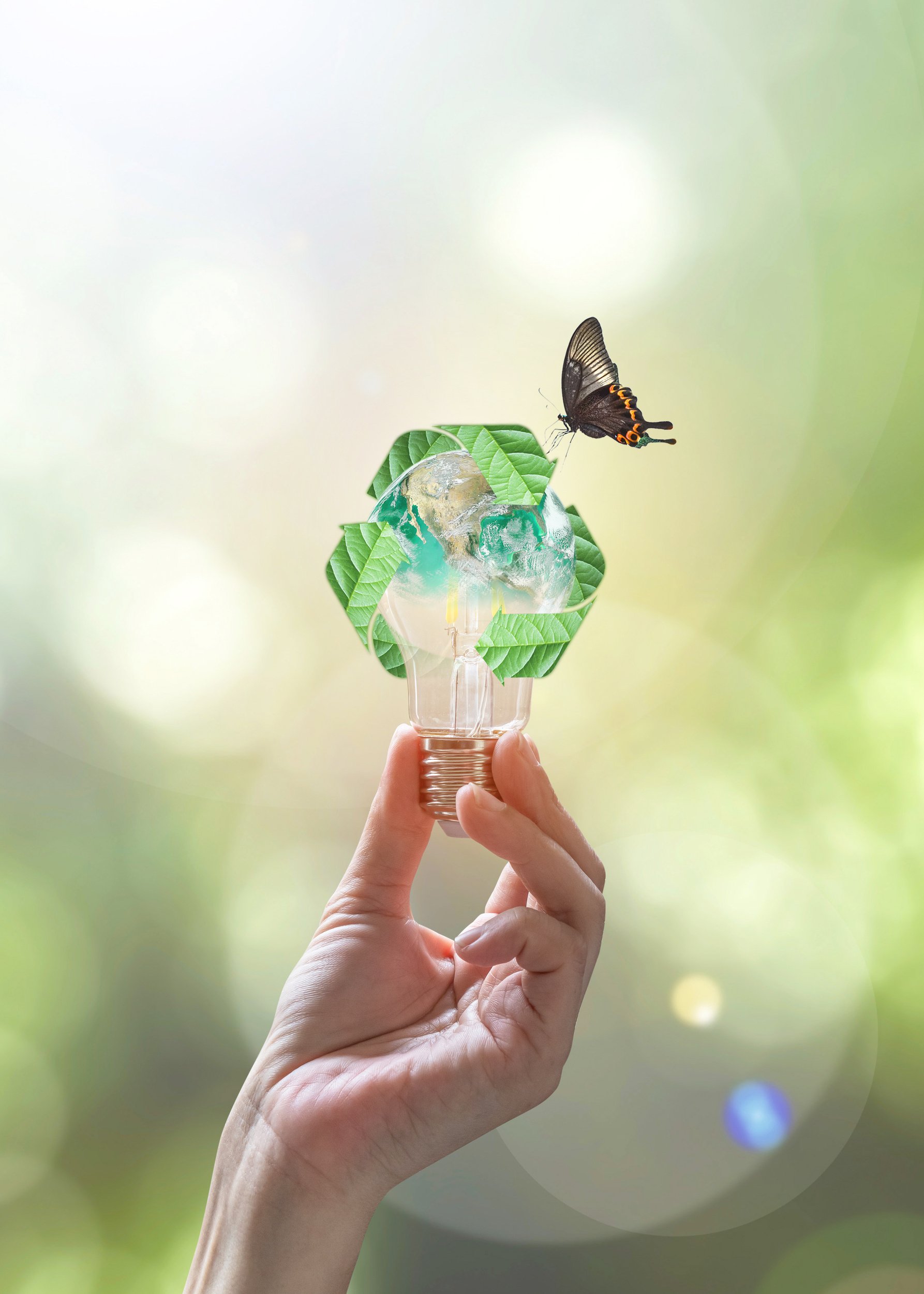 Ecology, energy saving, renewable, waste management and sustainable development concept with lightbulb with recycle leaves environmental protection symbol in people hand